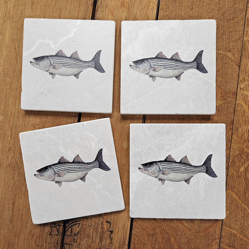 Striped Bass Arthur Moniz- Set of 4 coasters