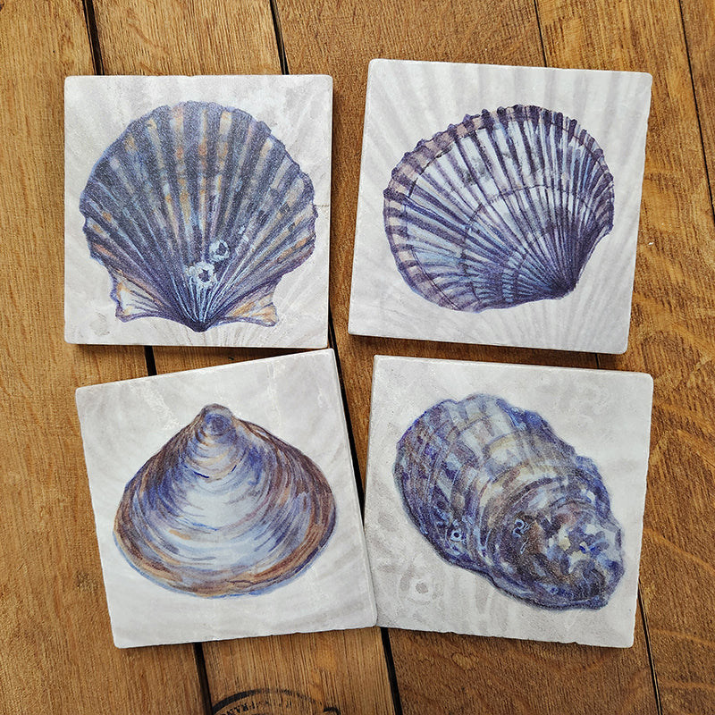Watercolor Sea Shells- Set of 4 coasters