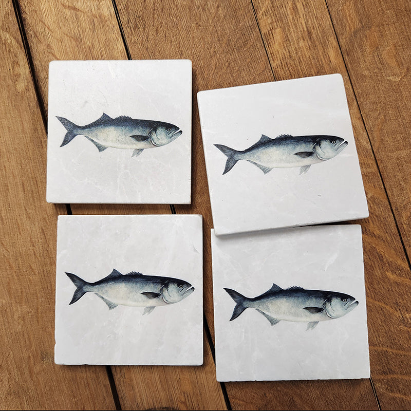 Bluefish Arthur Moniz- Set of 4 coasters