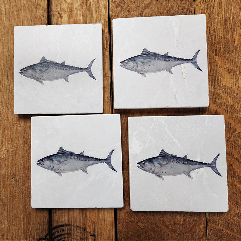 False Albacore Arthur Moniz- Set of 4 coasters