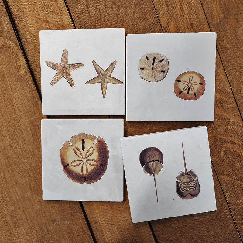 Beach shell mix - Set of 4 coasters