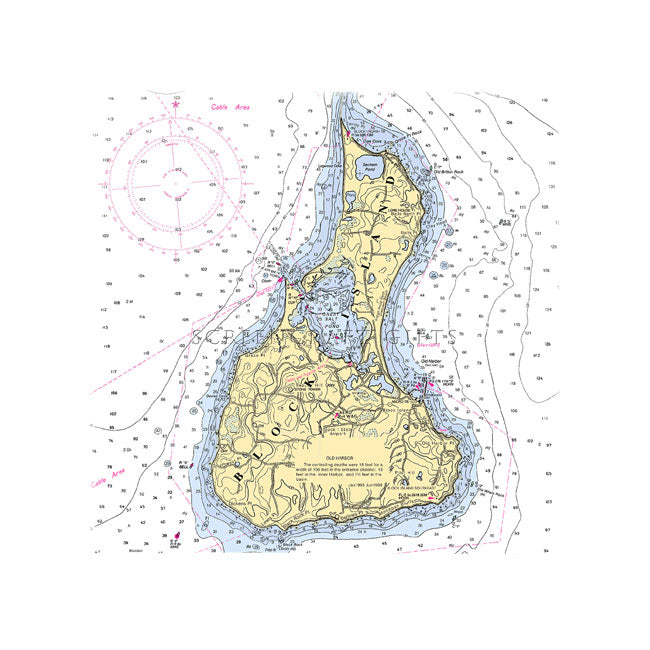 Block Island, RI - Wall Canvas