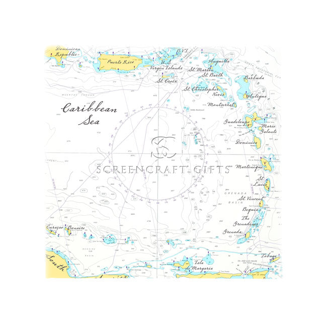 The Caribbean Sea- Wall Canvas