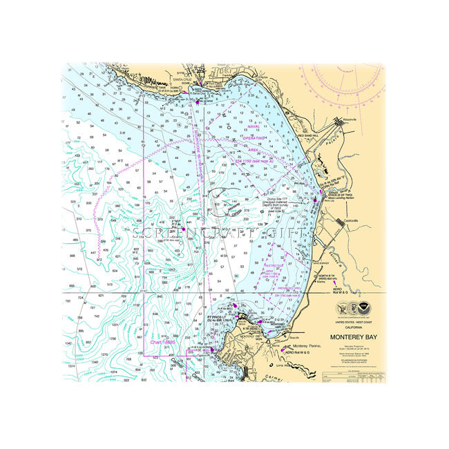 Monterey, CA -  Wall Canvas