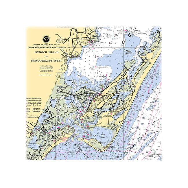 Chincoteague, VA- Wall Canvas
