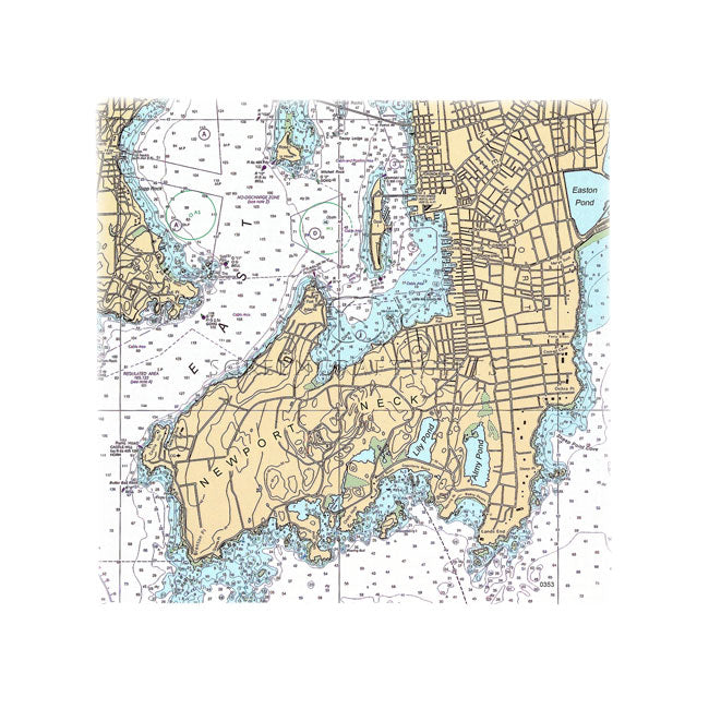 Newport Neck, RI - Wall Canvas