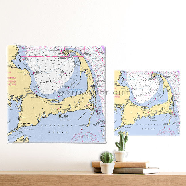Cape Cod, MA - Wall Canvas