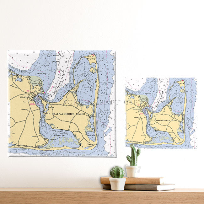 Chappaquiddick, MA- Wall Canvas
