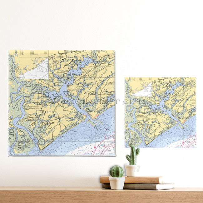 Edisto Island, SC - Wall Canvas