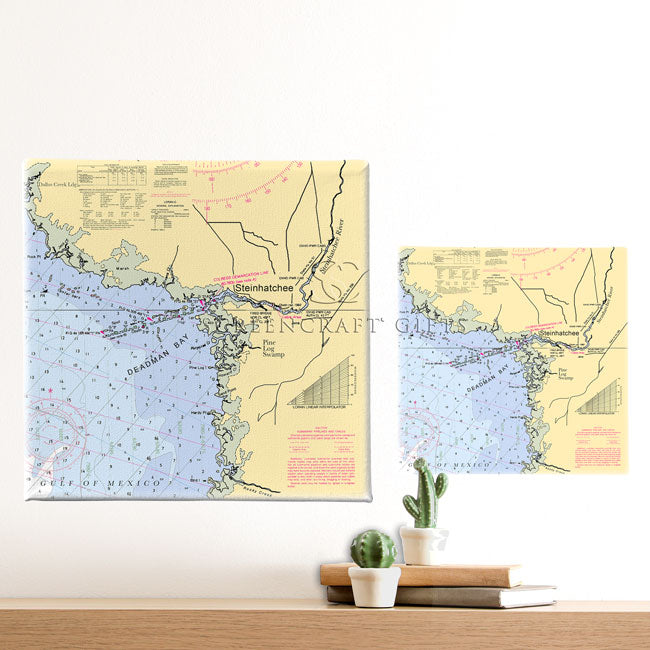 Steinhatchee, FL- Wall Canvas