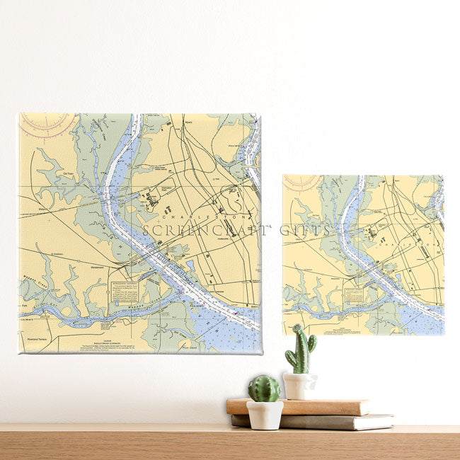 Ashley River, SC- Wall Canvas