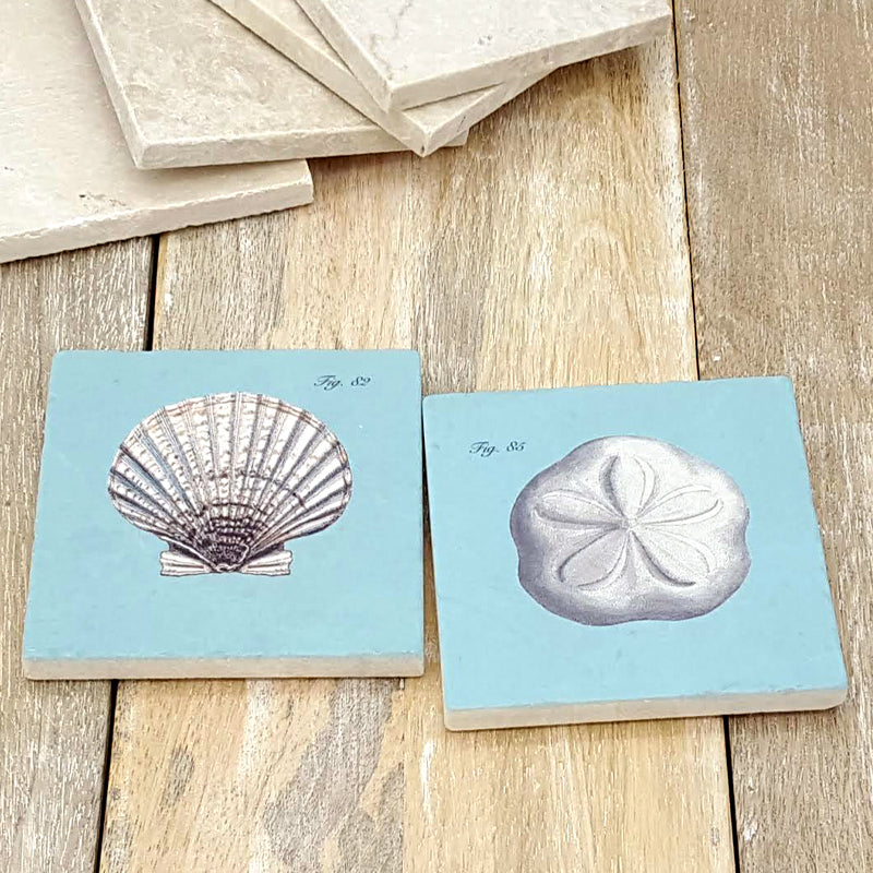 Seashell & Sand dollar - 2 piece coaster set