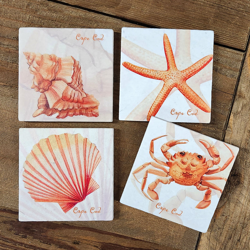 Cape Cod Sea Creatures - Set of 4 coasters